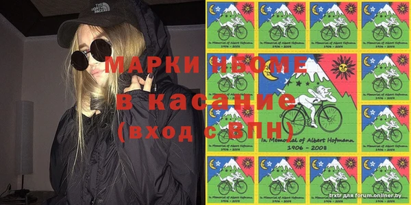 индика Алексин