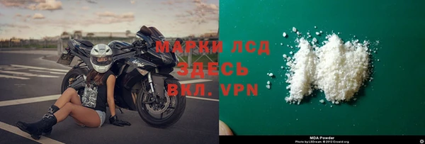 индика Алексин