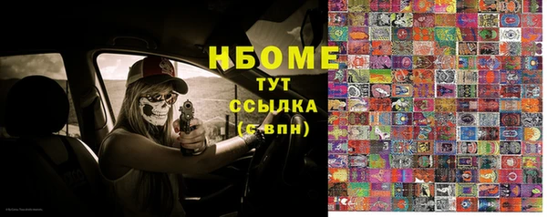 индика Алексин