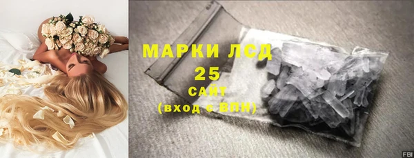 спайс Арсеньев