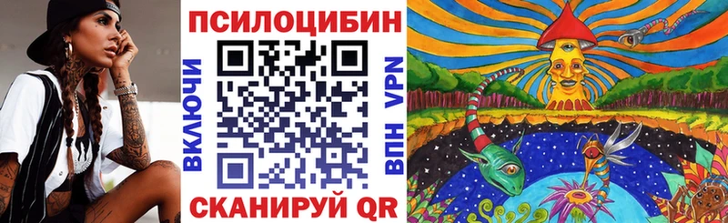 Псилоцибиновые грибы мицелий Красноярск